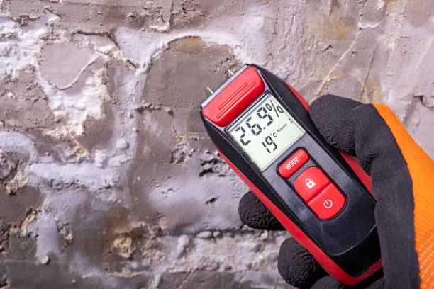 Best Certified Mold Removal  in Archbold, OH