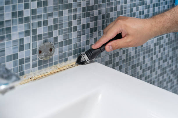 Professional Mold Removal in Archbold, OH