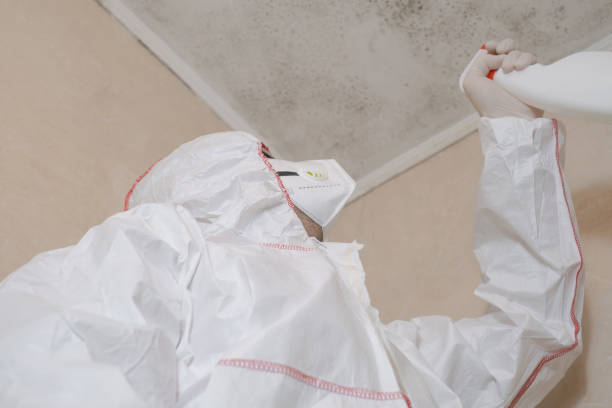 Crawl Space Mold Removal in Archbold, OH