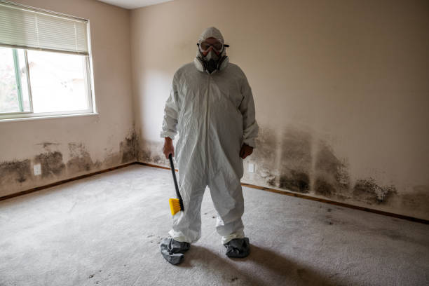 Best Commercial Mold Removal  in Archbold, OH