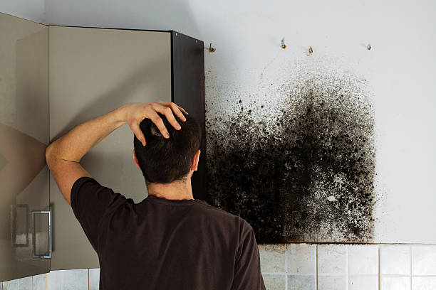 Best Crawl Space Mold Removal  in Archbold, OH